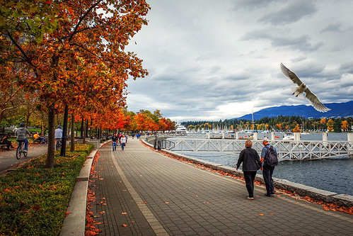 Autumn Colours in Vancouver | Photo taken at Coal Harbour in… | Flickr