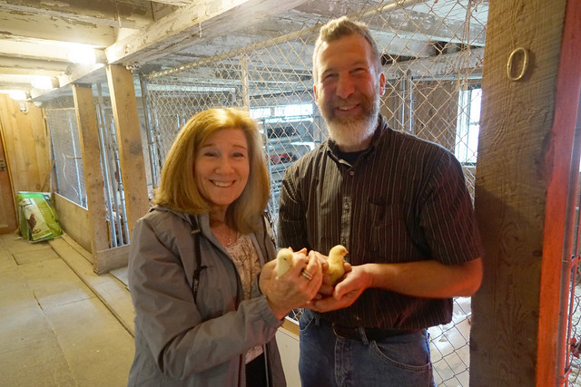 Andy Cole and Bette Brand showing off some brand-new baby chicks